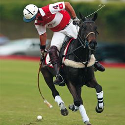 Polo & Horse Riding in Jaipur