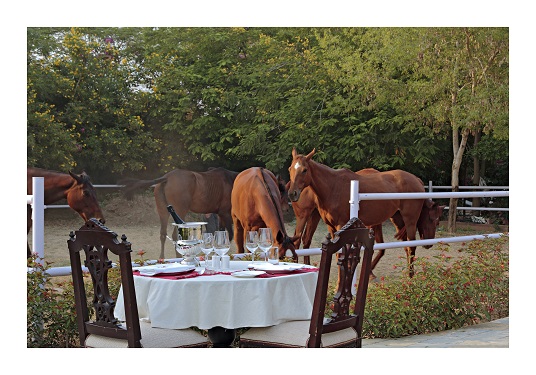 Horse Riding at Khas Bagh in Jaipur